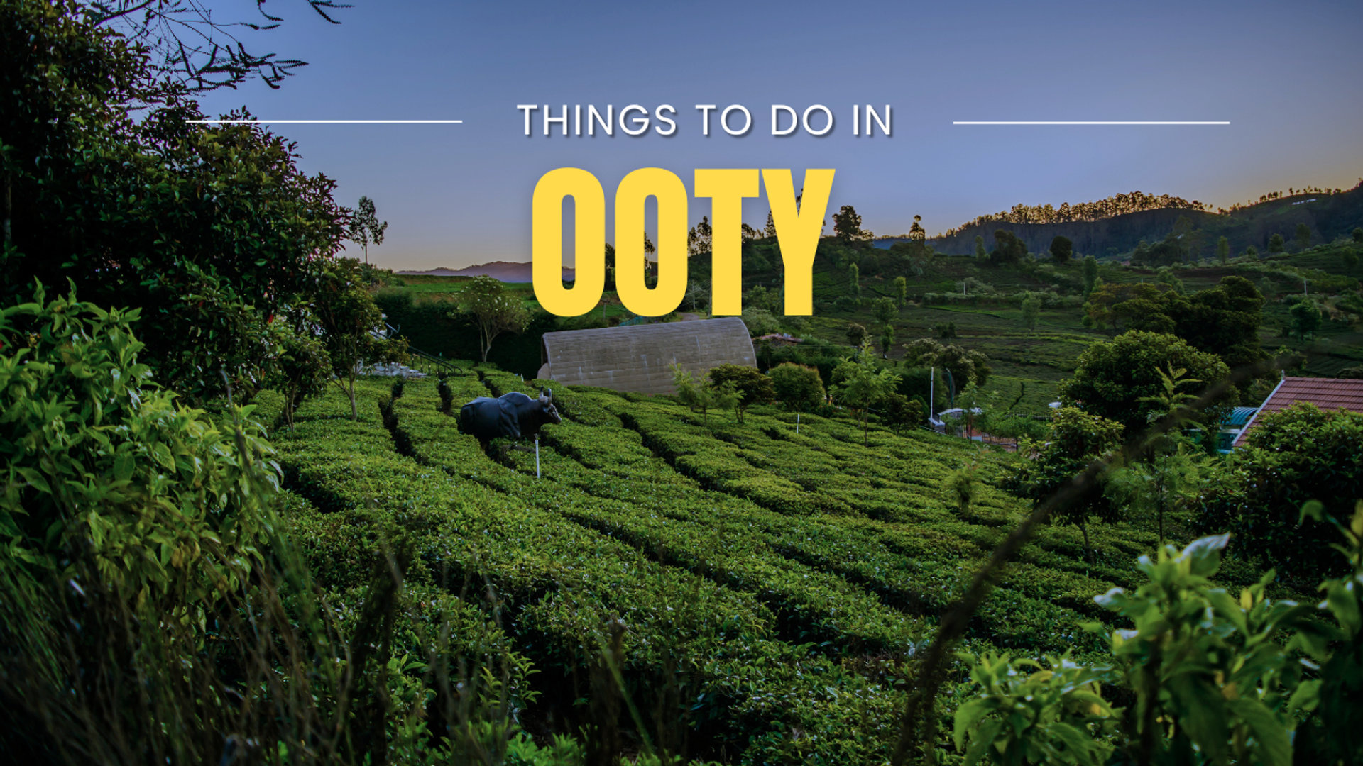 10 Best Things to do in Ooty in (2026)