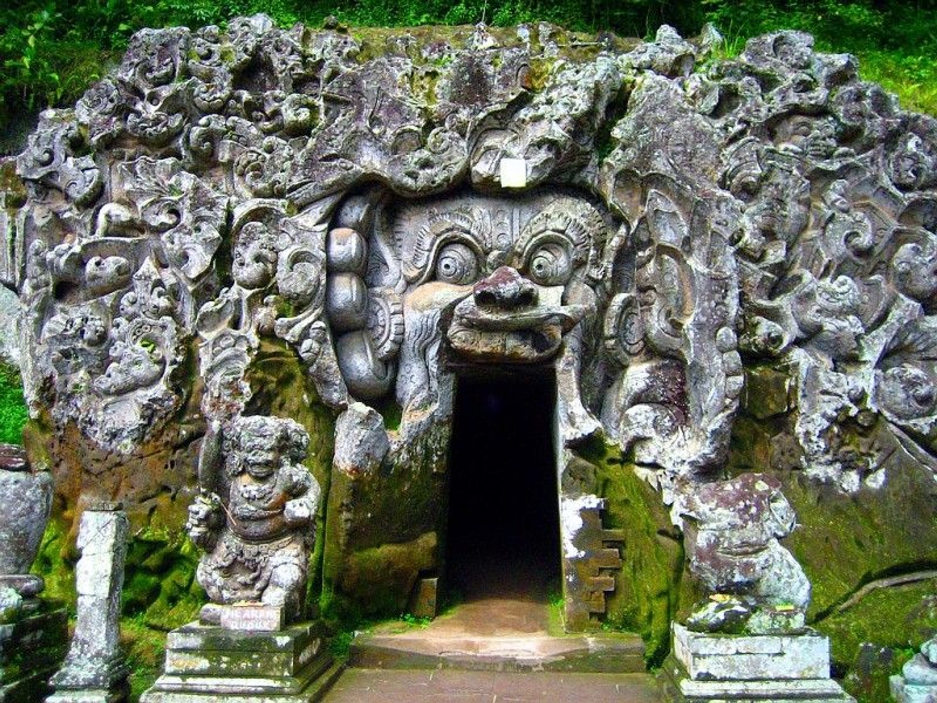 Image 11