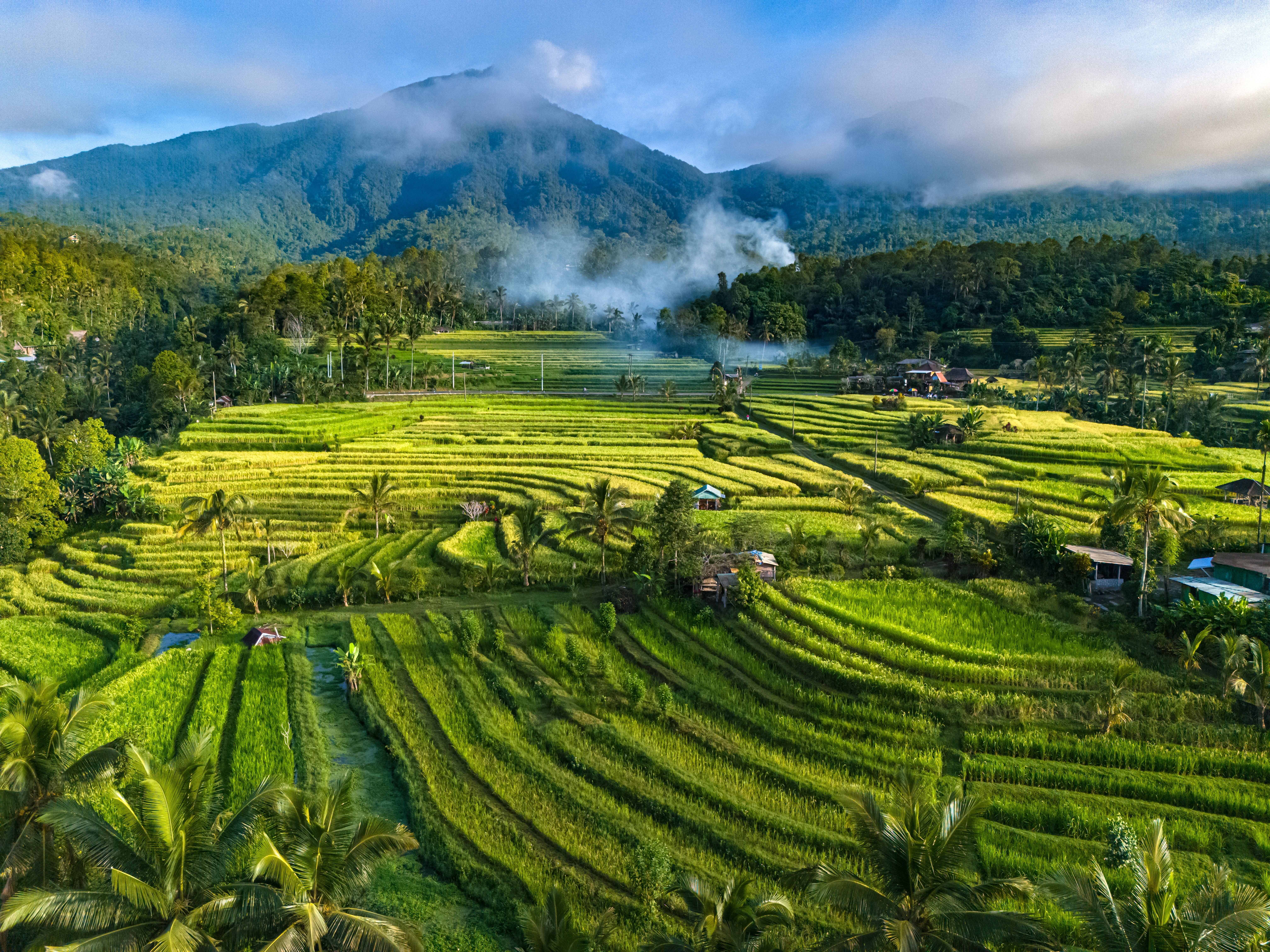 Ubud