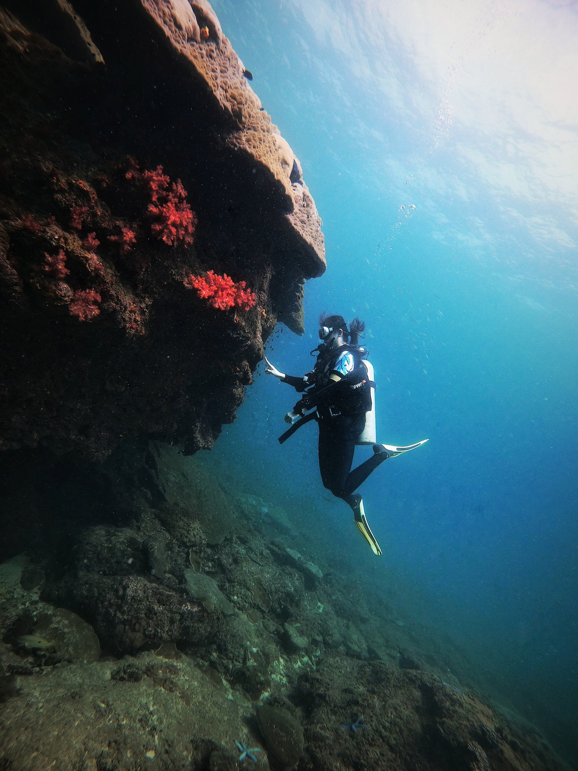 Diving off the Sarawak coast