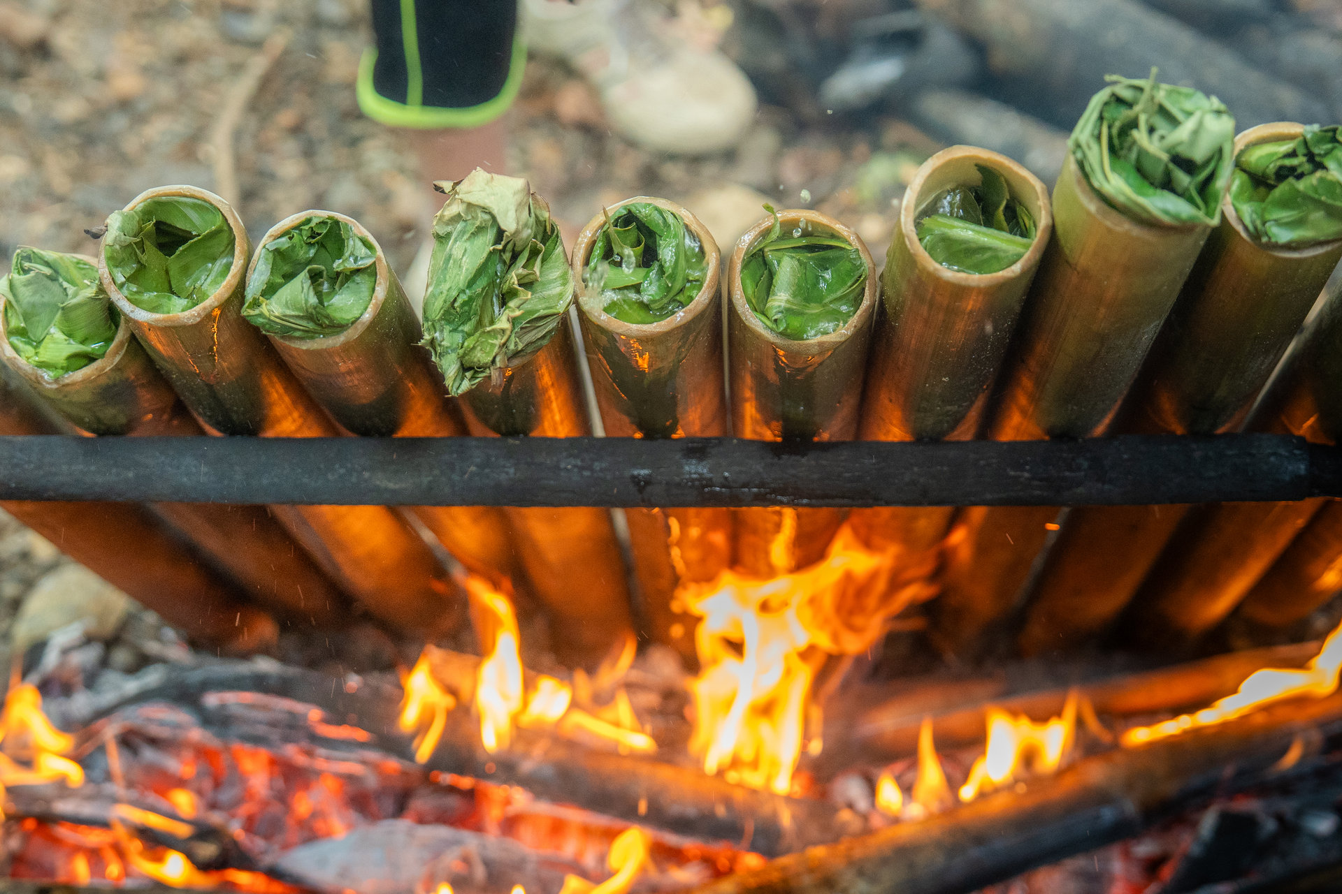 Bamboo rice cooking over an open fire