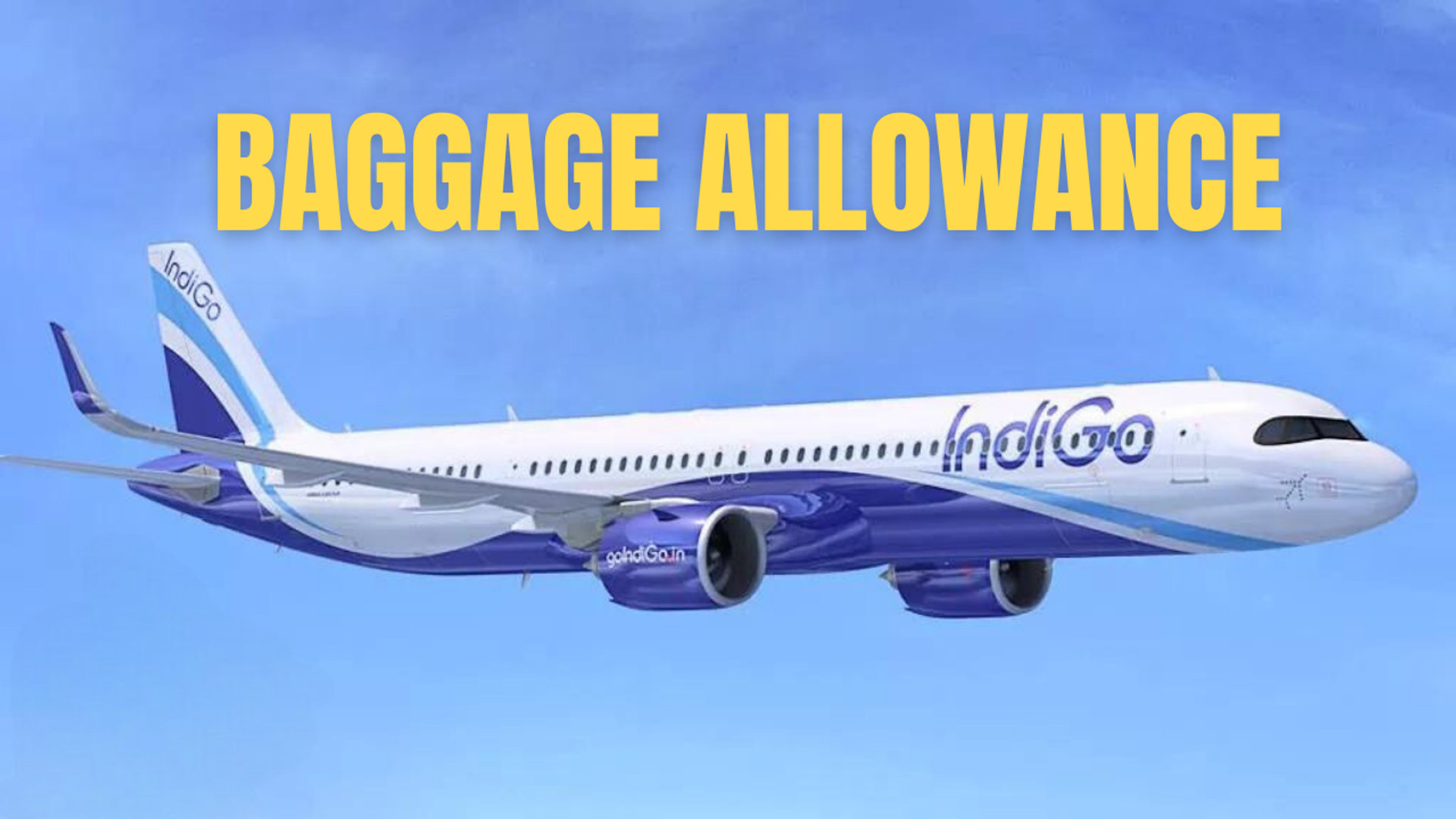 Indigo Baggage Allowance