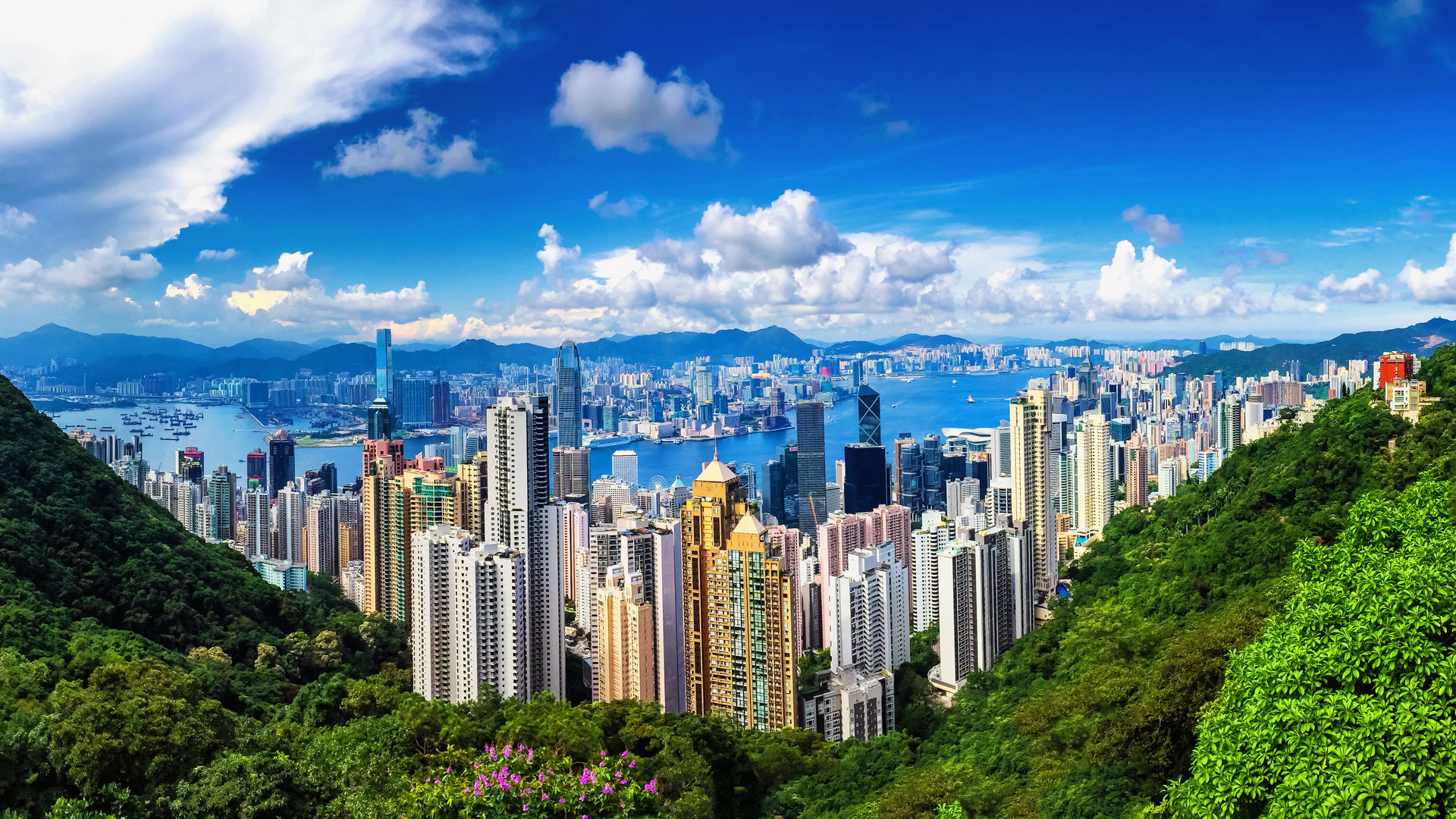 Hong Kong’s towers and Victoria Harbour from Victoria Peak
