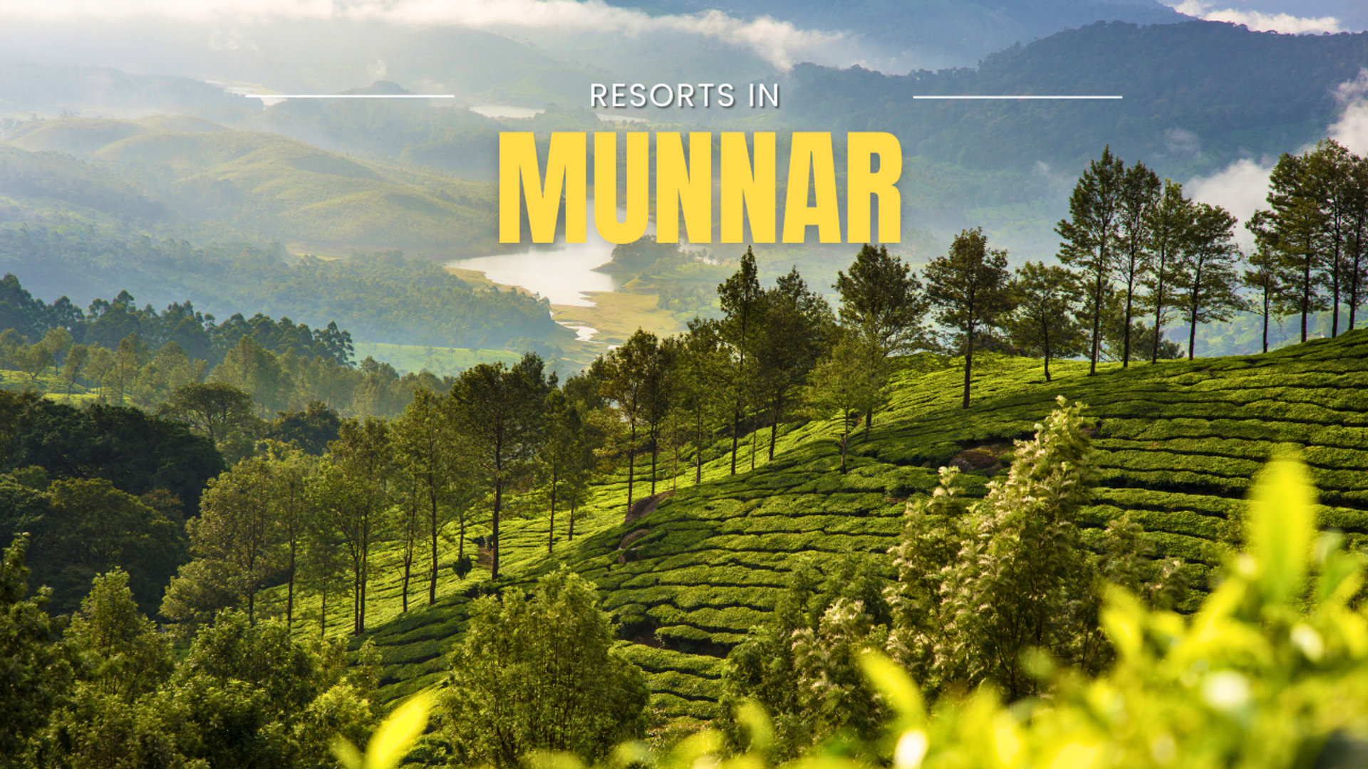 Resorts in Munnar