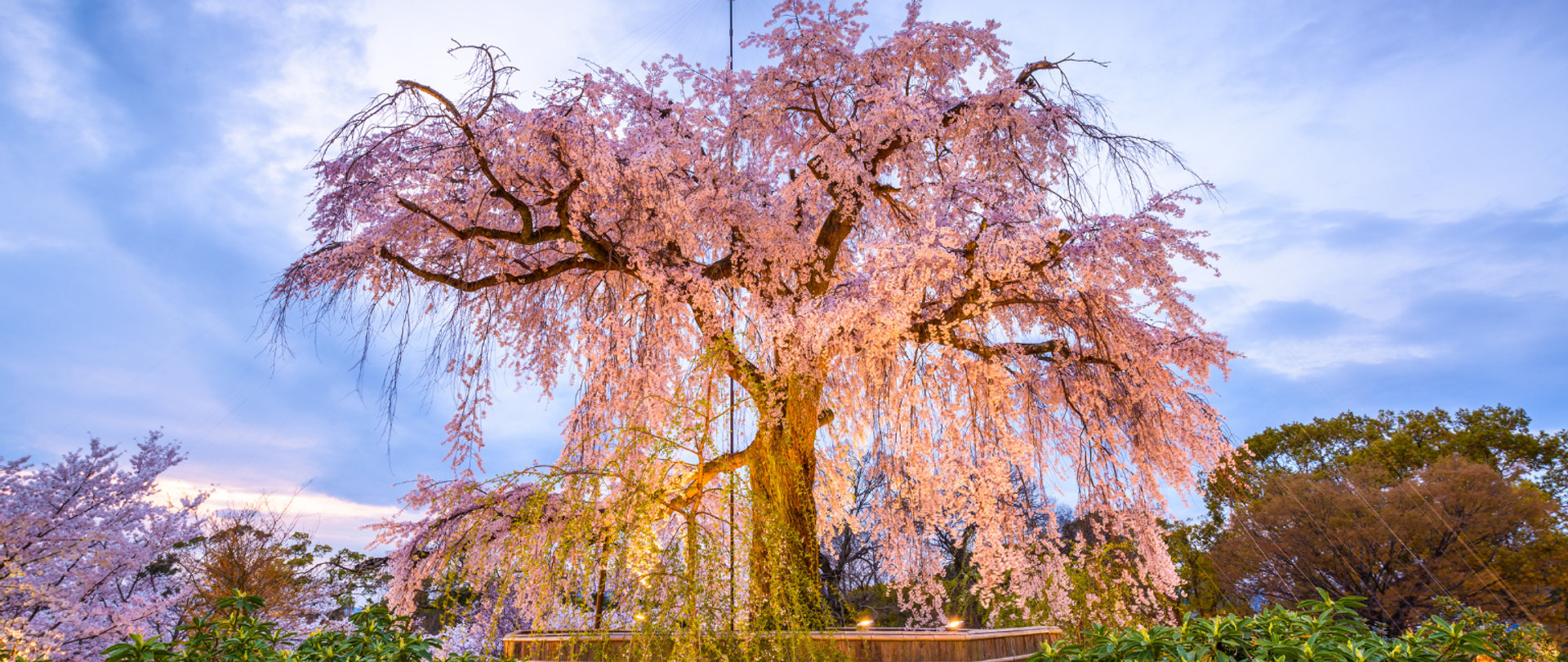 10 Best Things to Do in Kyoto