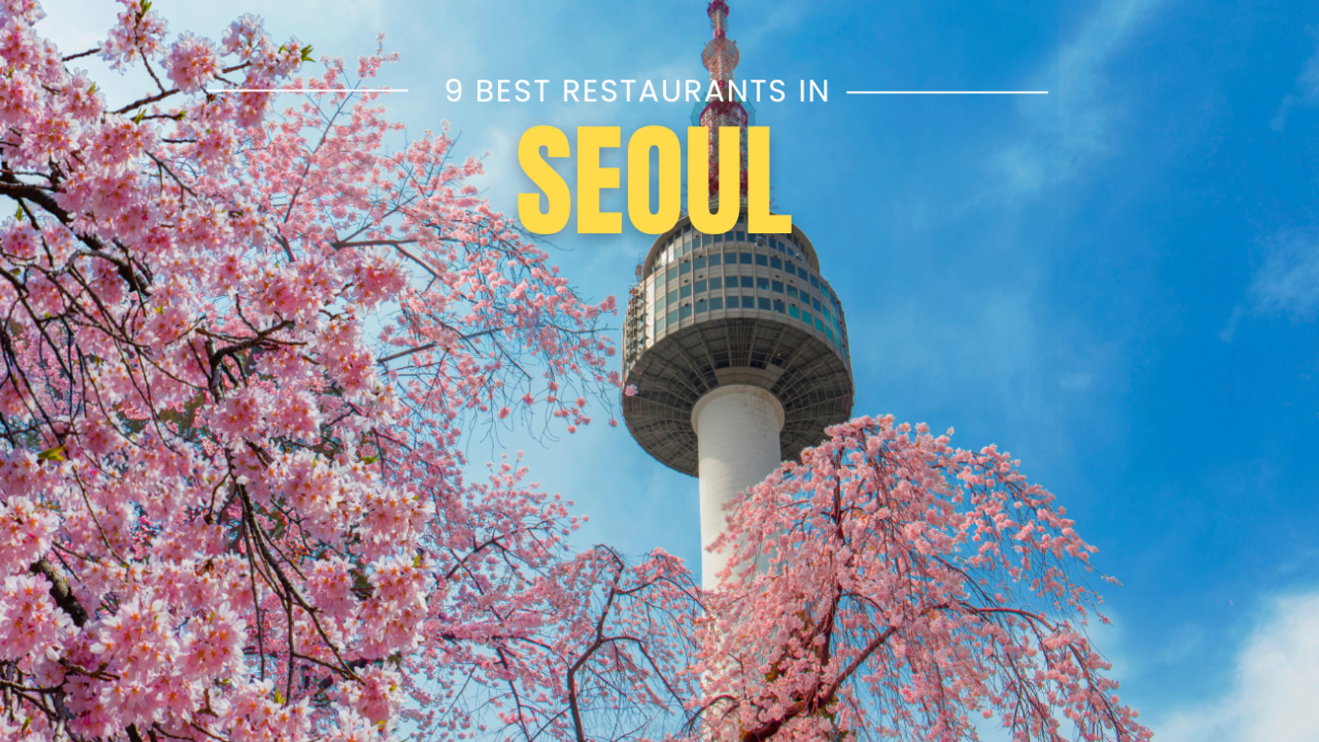 9 Best Restaurants in Seoul