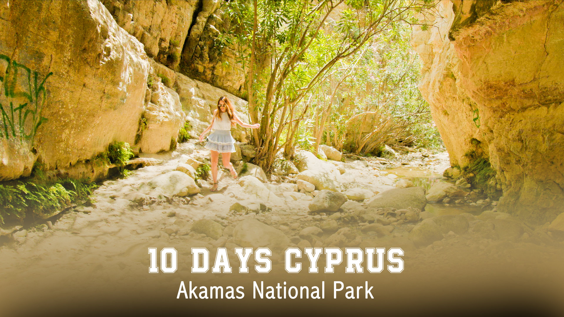 Going Wild In Cyprus