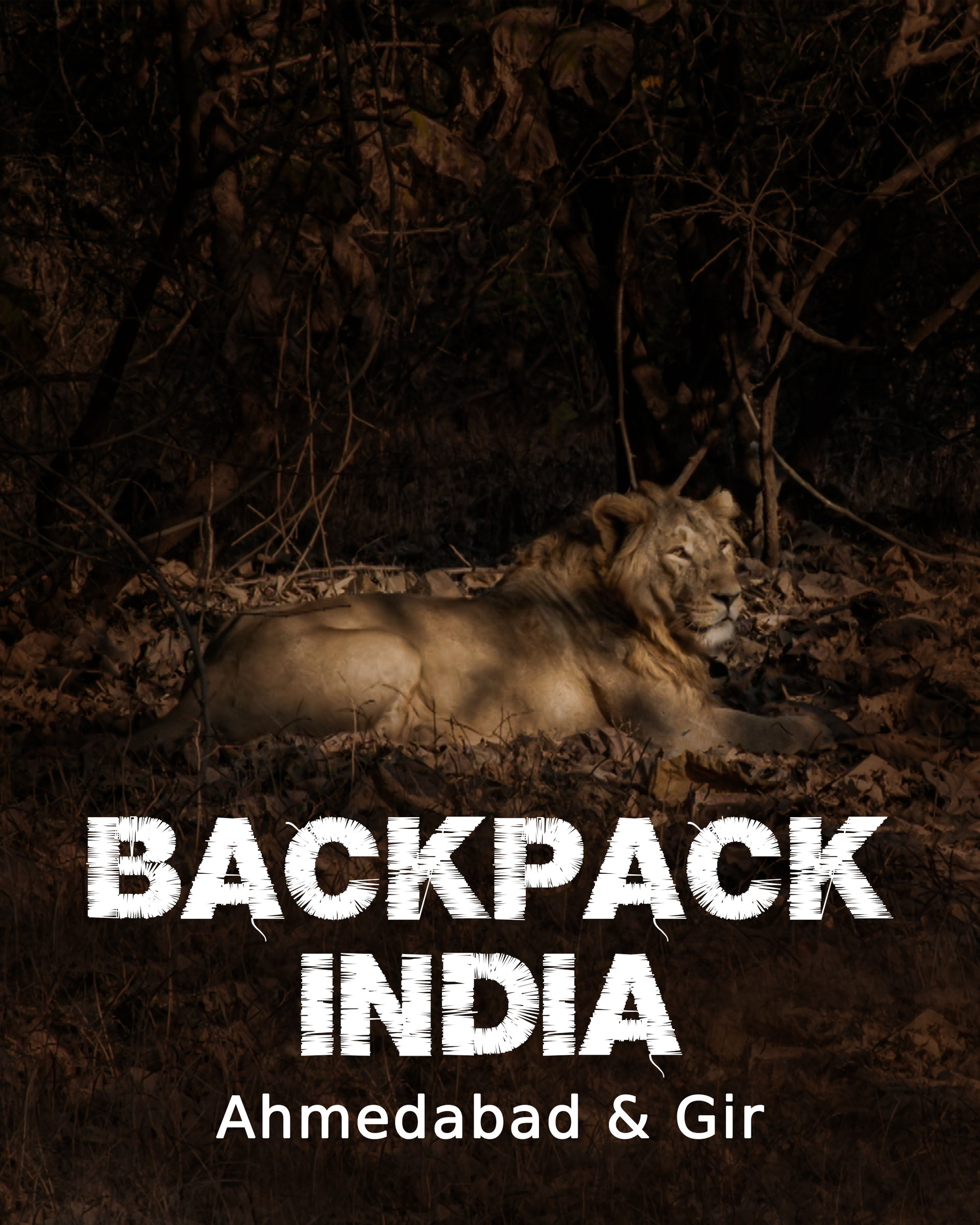 A Tryst With Leaders And Lions In Gujarat