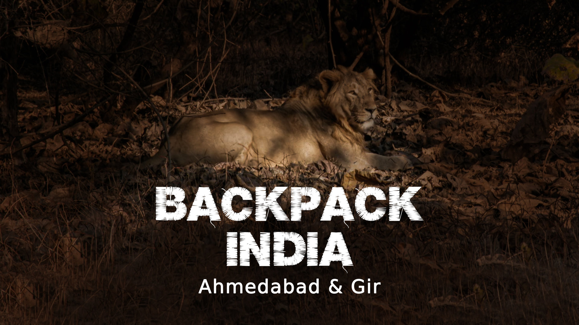 A Tryst With Leaders And Lions In Gujarat