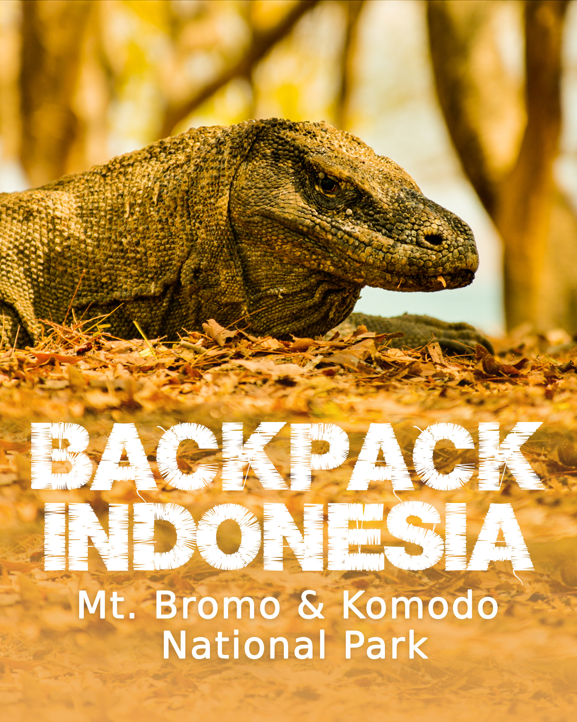 Volcanoes And Dragons In Indonesia