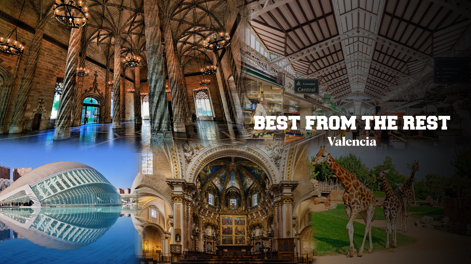 Valencia’s Must-sees