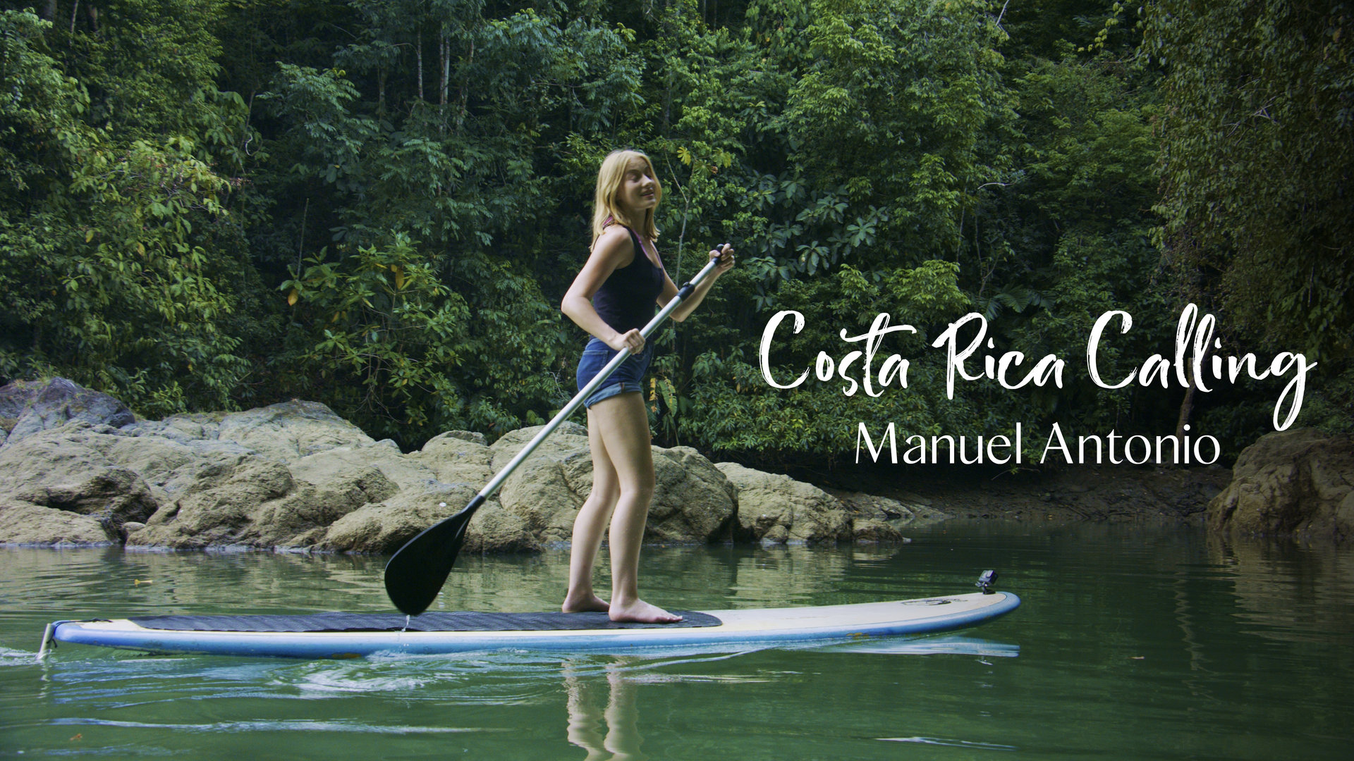 Manuel Antonio’s Wildlife 