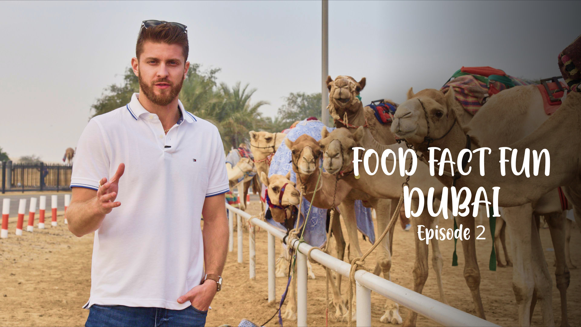 A Local’s Guide To Dubai