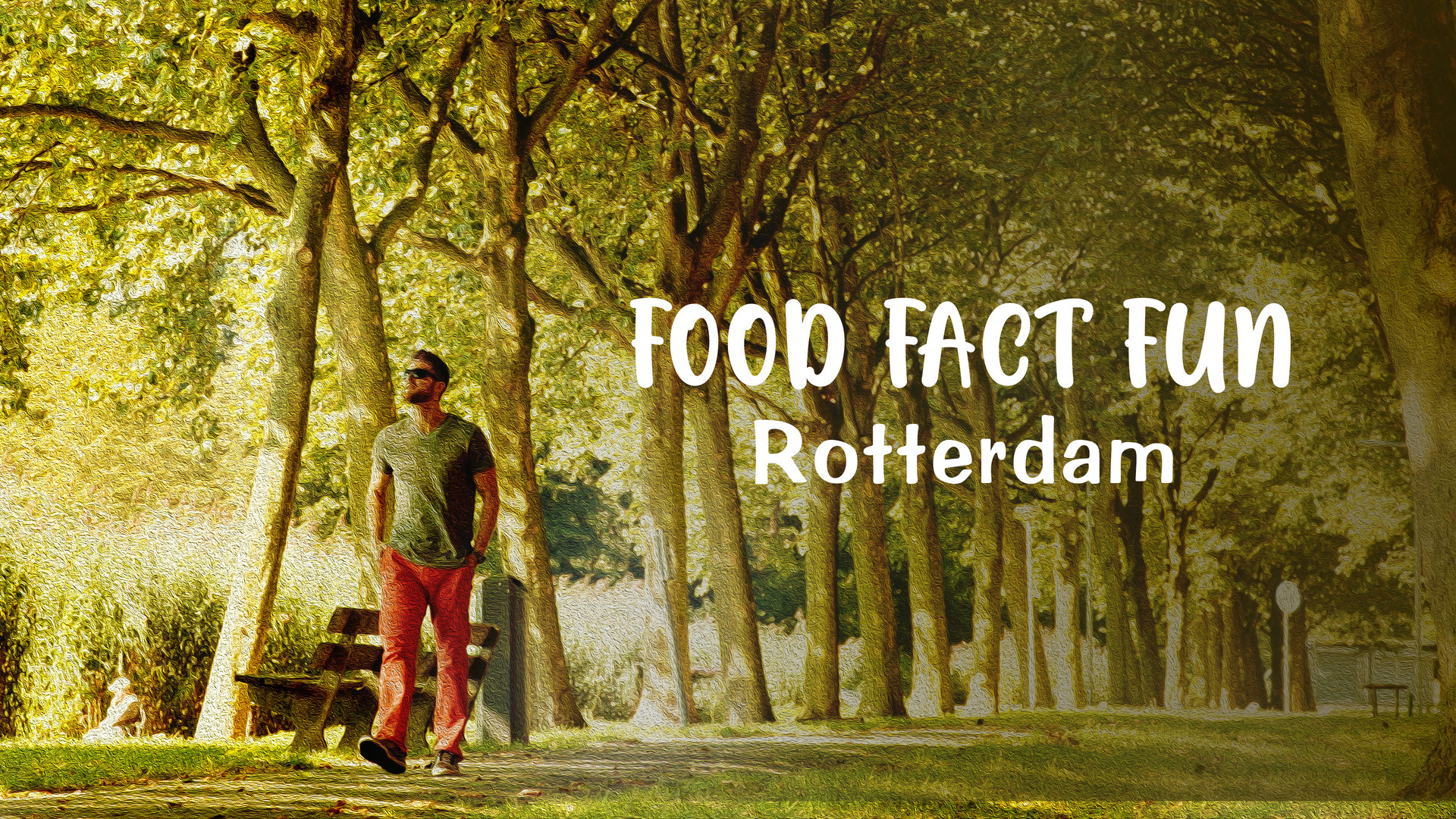 Experiencing The Alternative Vibe Of Rotterdam