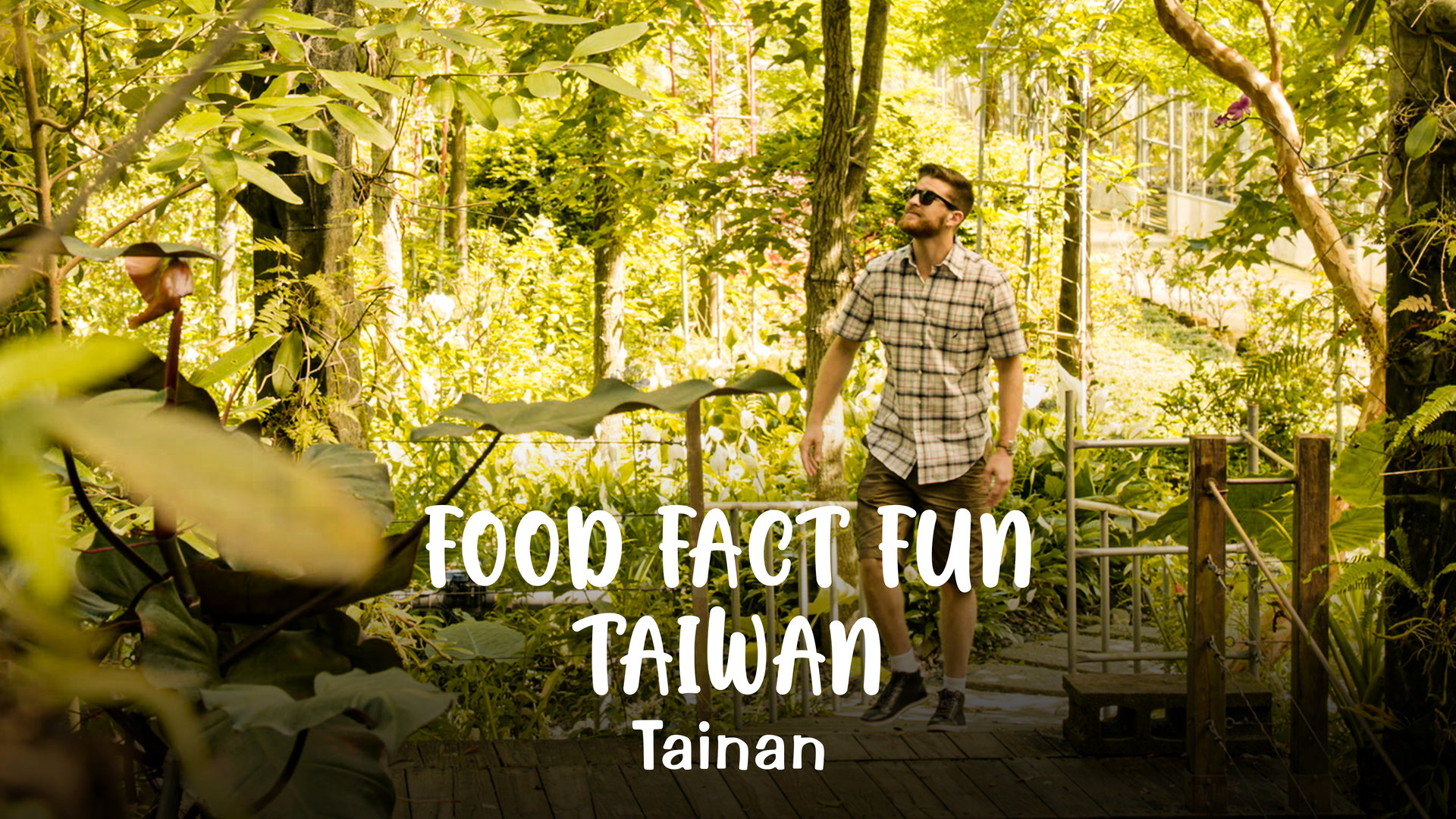 Taiwan’s Aboriginal Culture