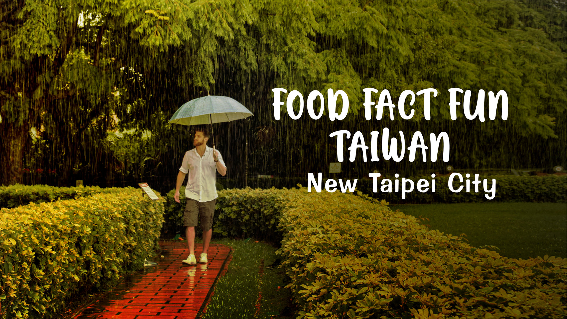 Baseball And Hotpot In New Taipei City