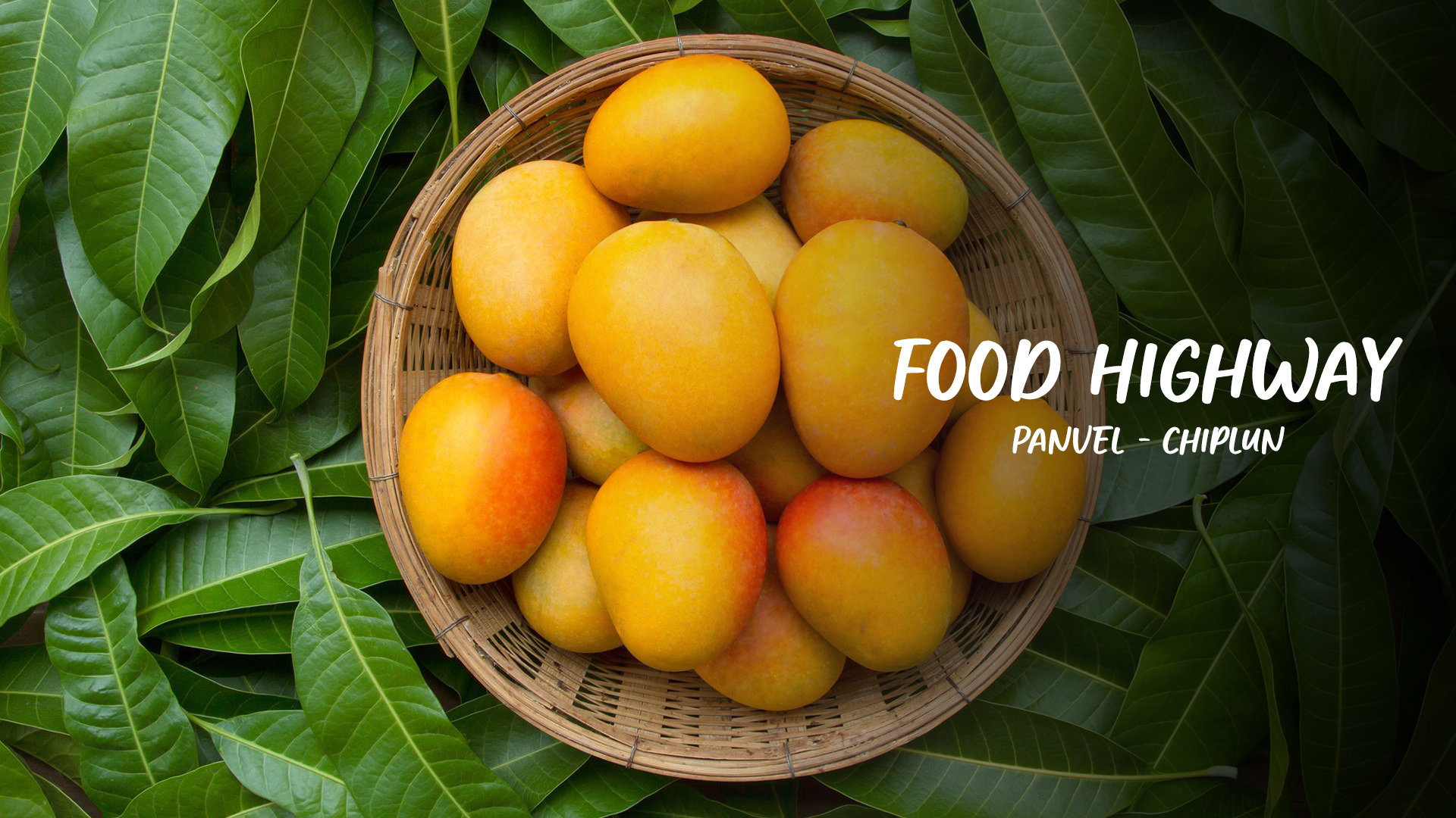 Enjoying Mangoes In Chiplun And Ratnagiri