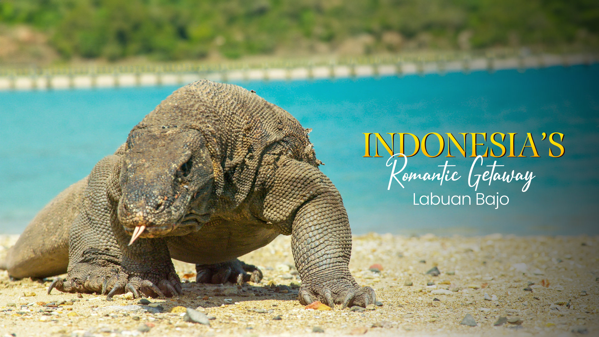 Labuan Bajo’s Adventures 