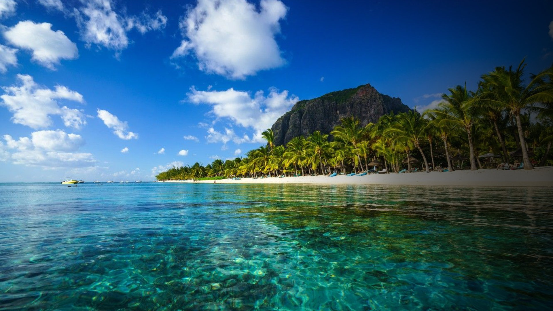 Le Morne Brabant behind a palm-lined beach