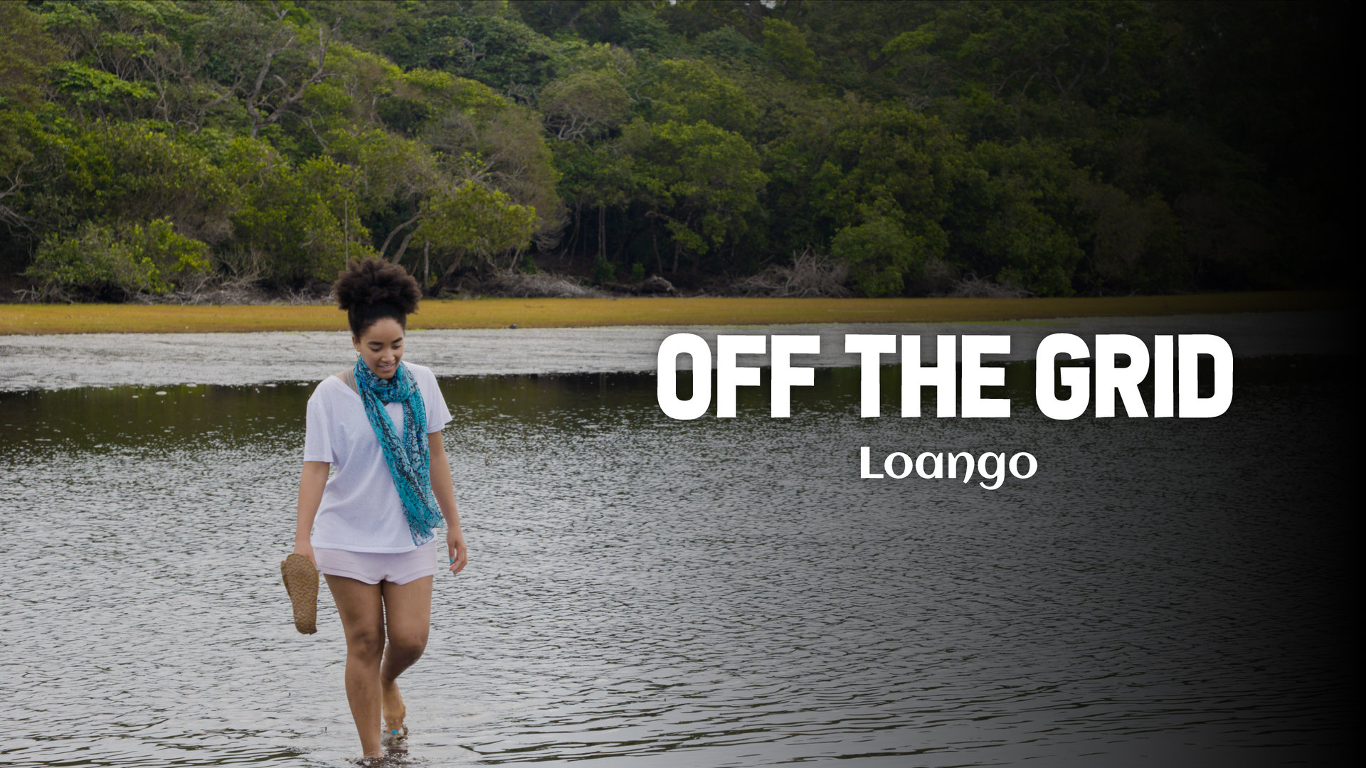 The Stunning Biodiversity Of Loango National Park