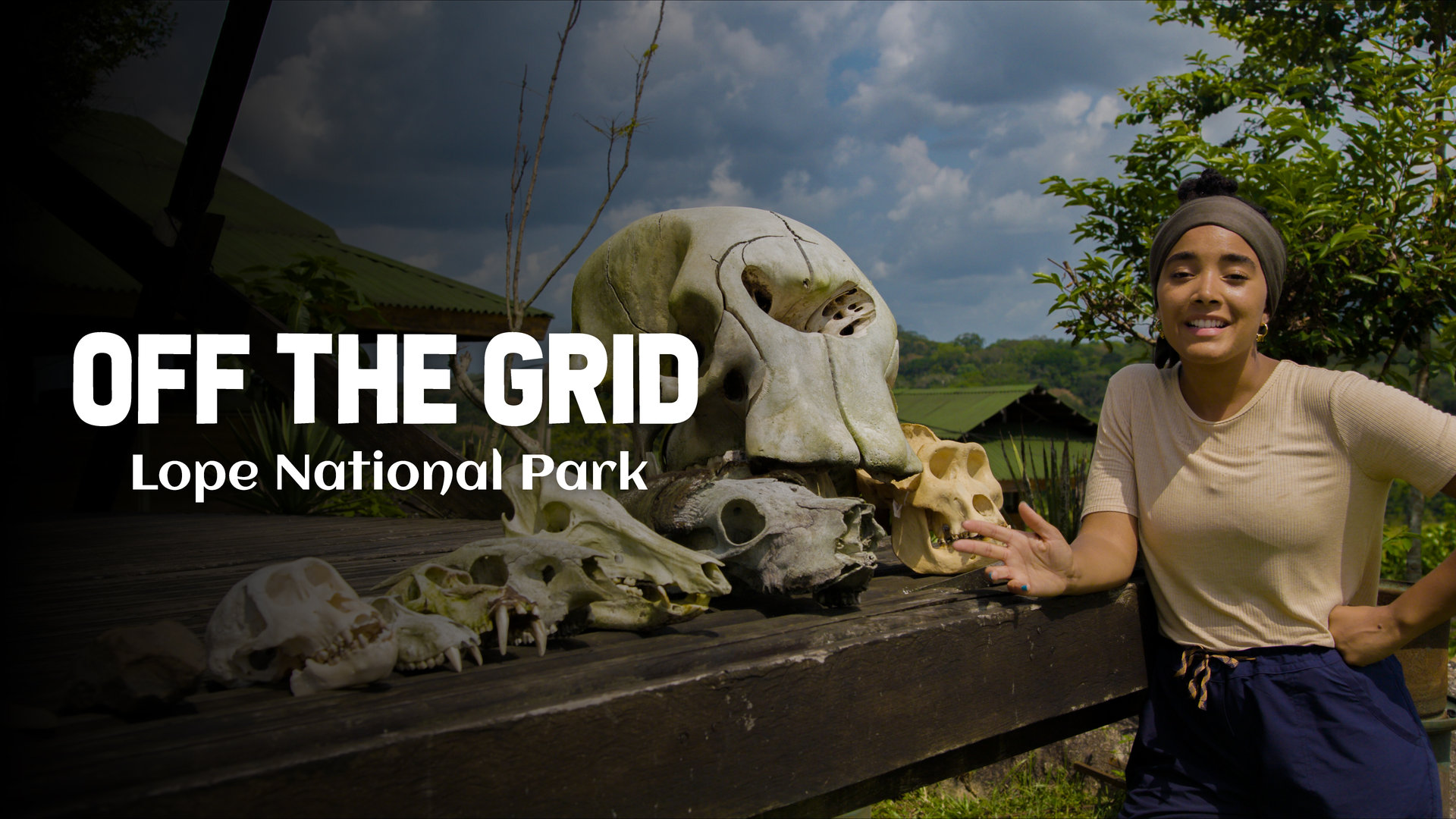 The Rare Species Of Lope National Park 