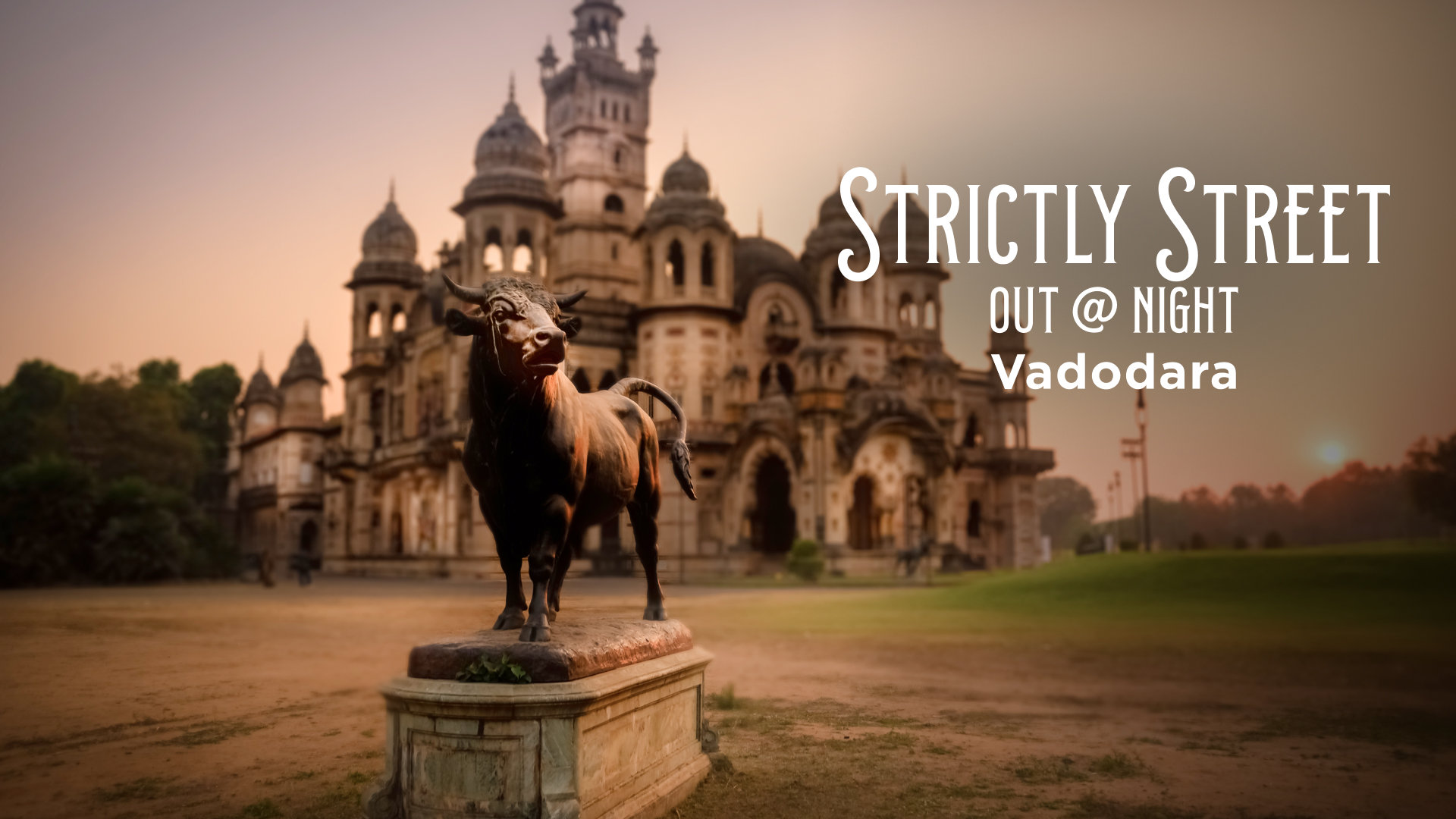 Vadodara's Night Eats