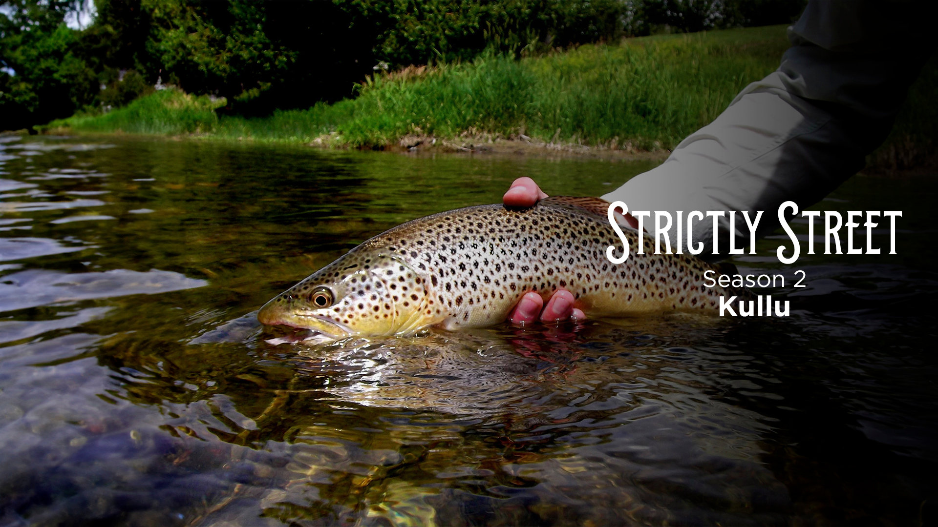 Trout Fishing At Tirthan Valley