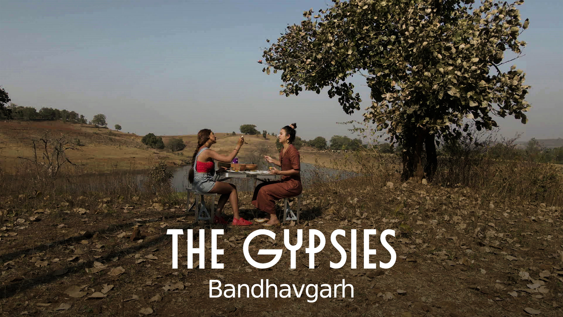 Bandhavgarh’s Cats