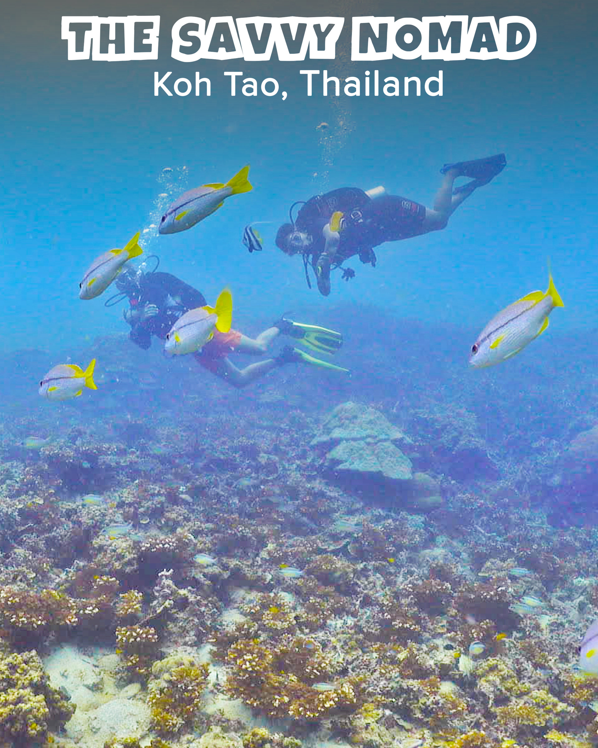 Koh Tao Dive Sites 