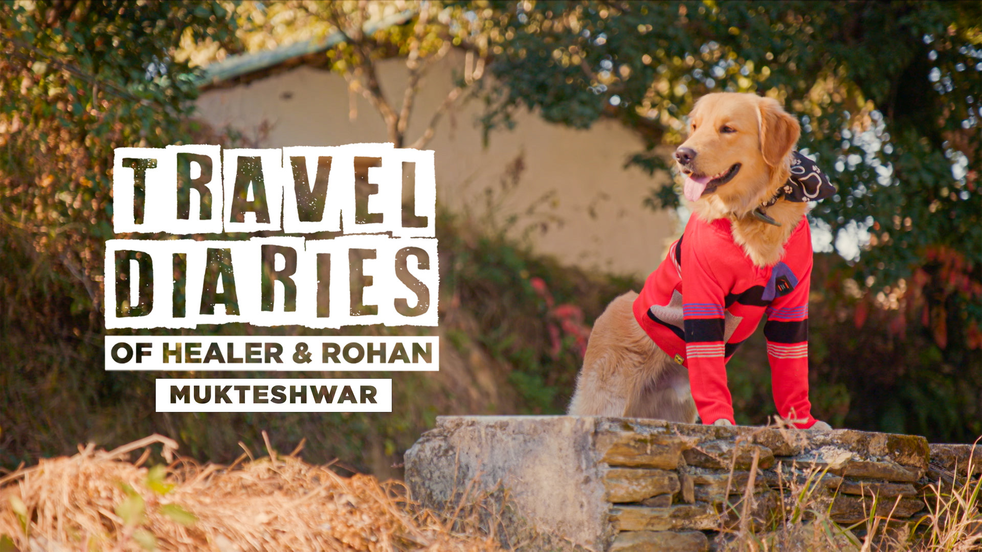 Camping In Mukteshwar