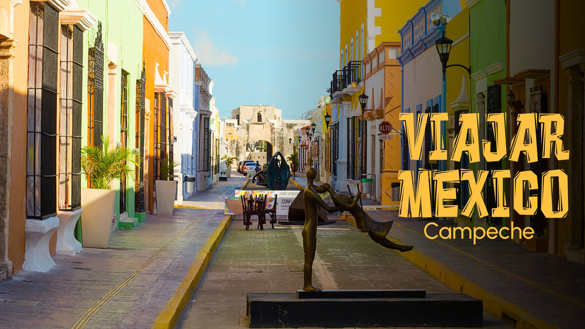 A Colony Of Dolphins