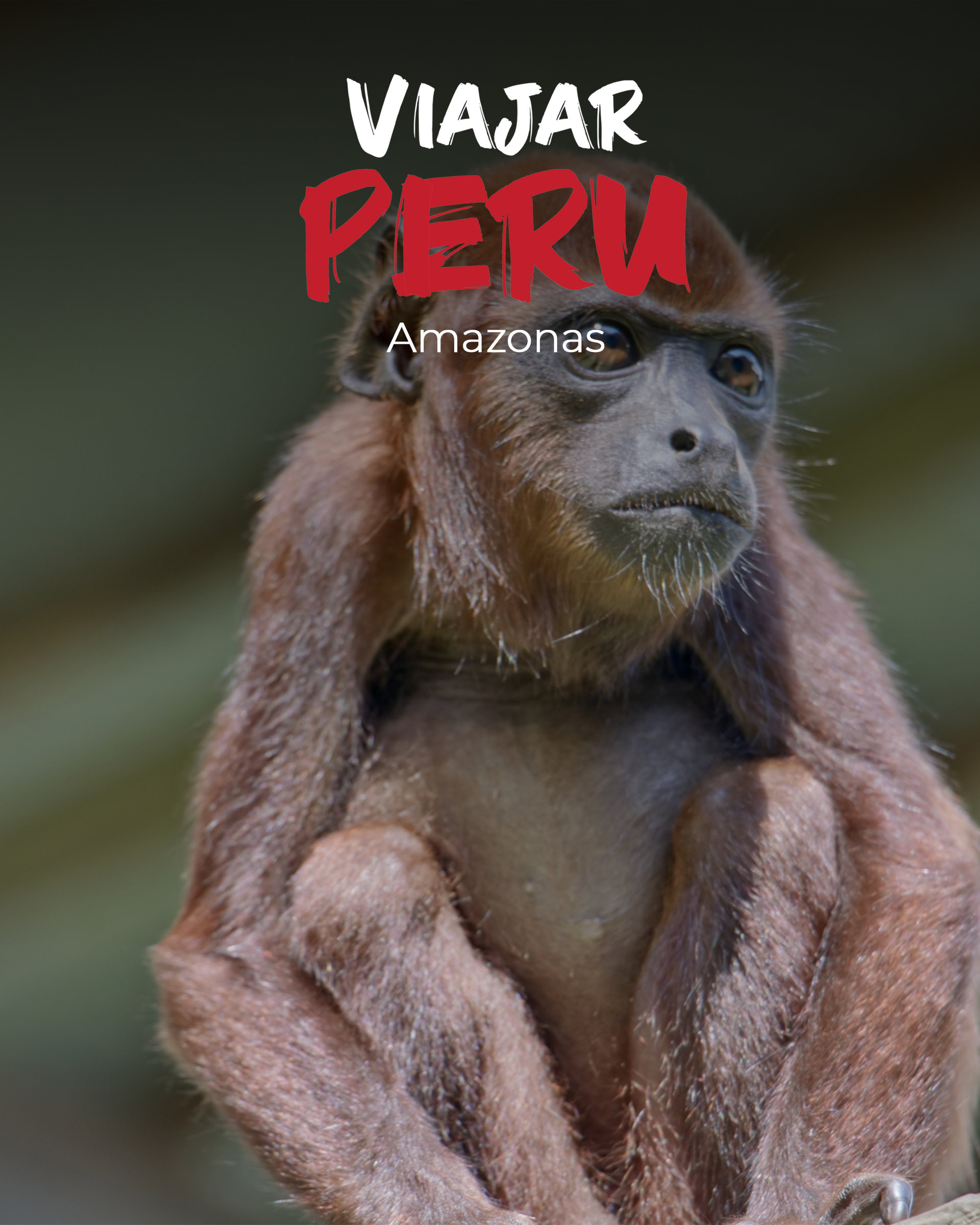 Amazonas Adventures