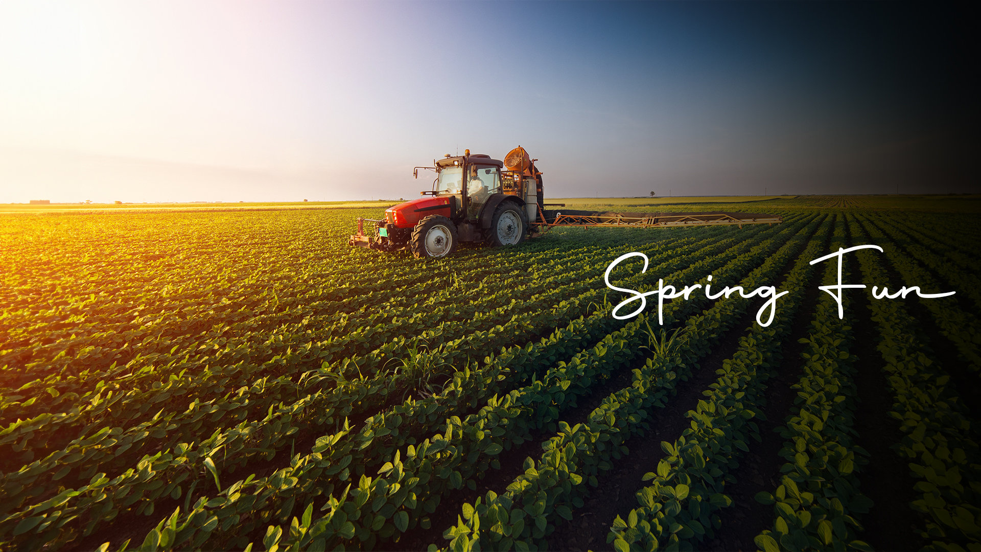 Punjab’s Rustic Charms 