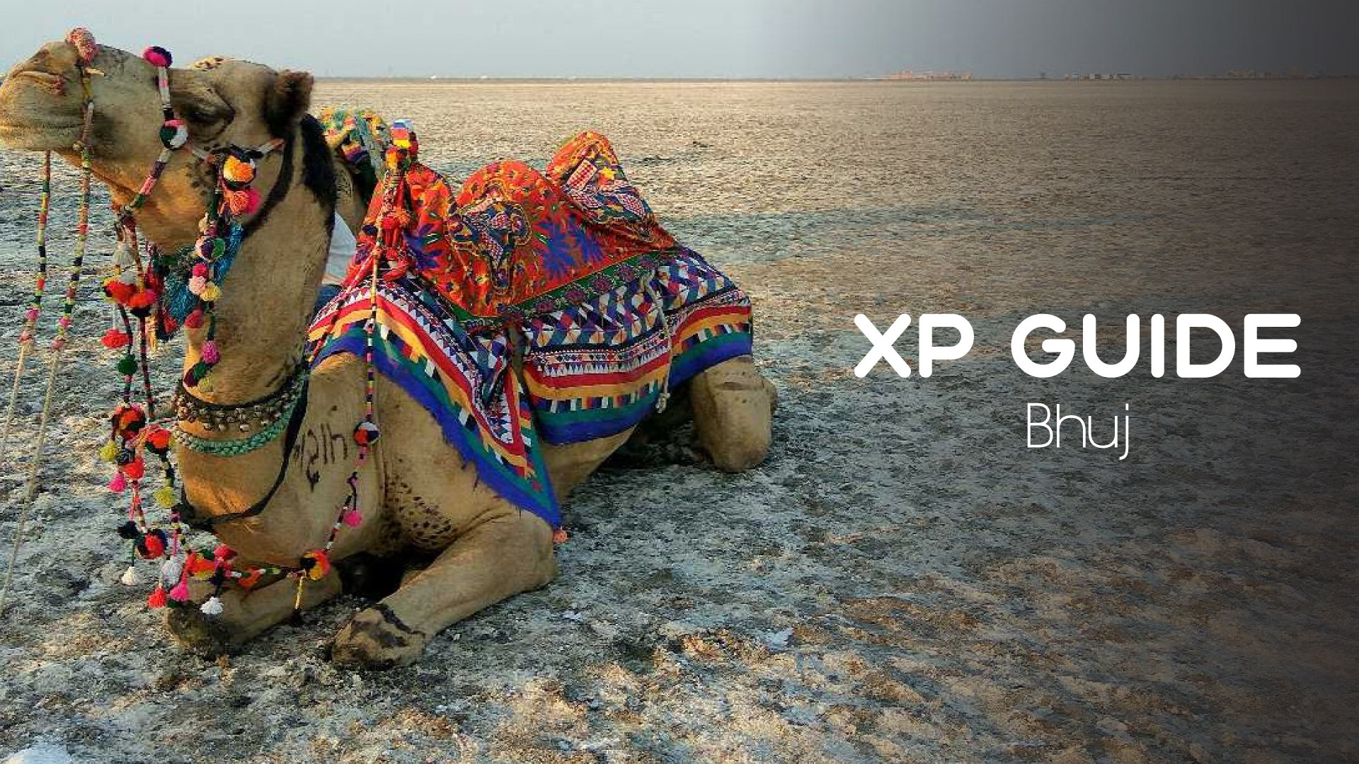 India’s Gothic Palace 