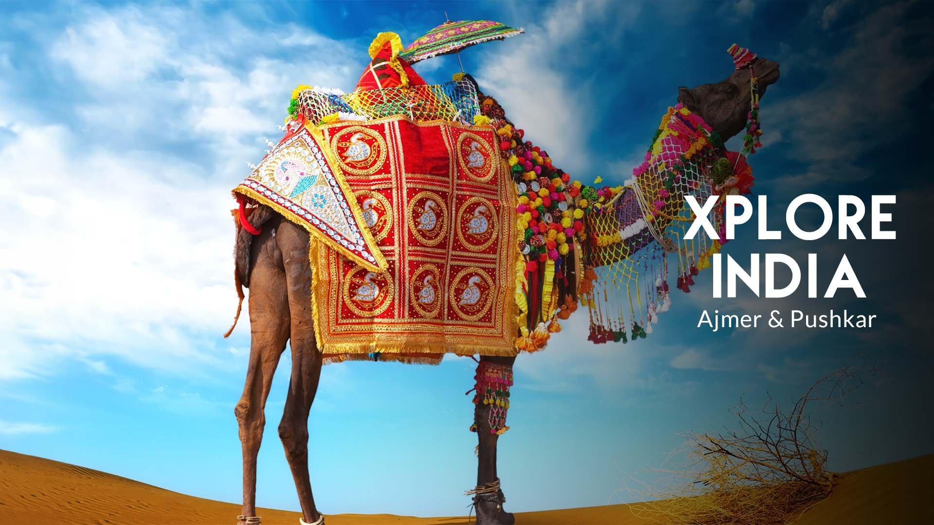 Rajasthan’s Spiritual Riches 