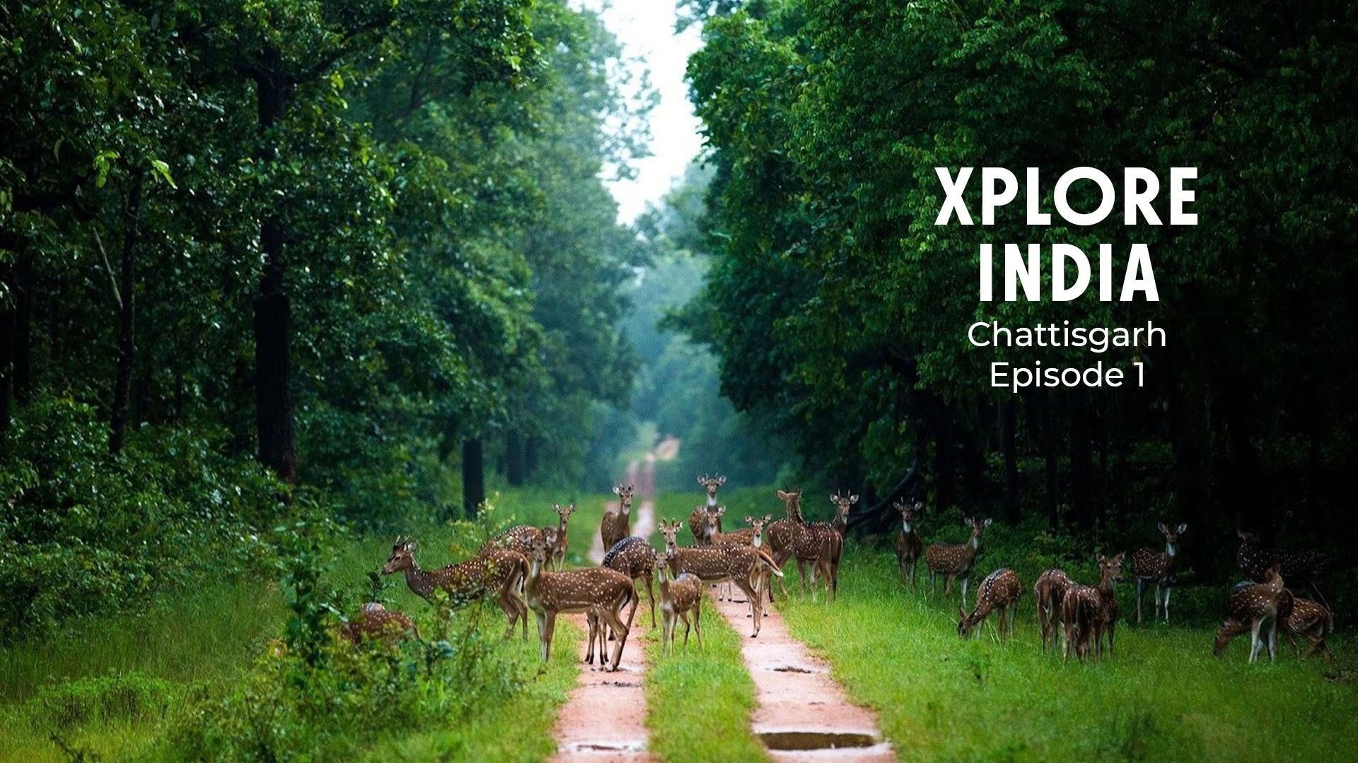 An Unexplored Adventure 