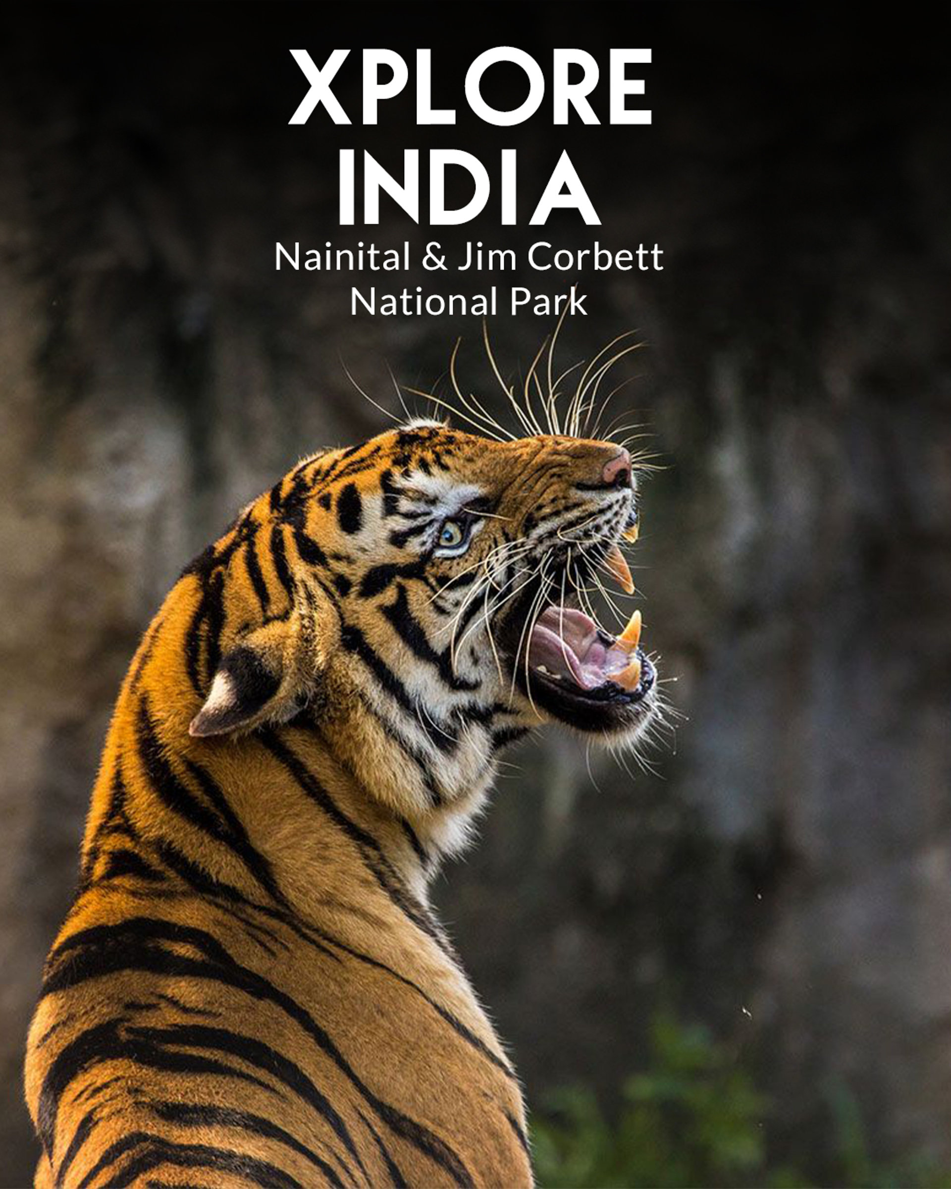Uttarakhand’s Untamed Landscapes