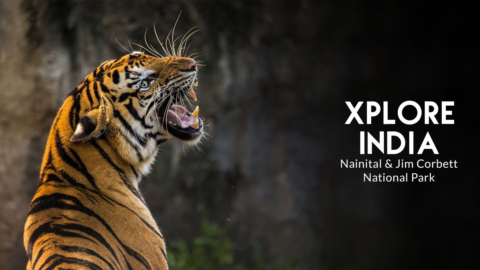 Uttarakhand’s Untamed Landscapes 