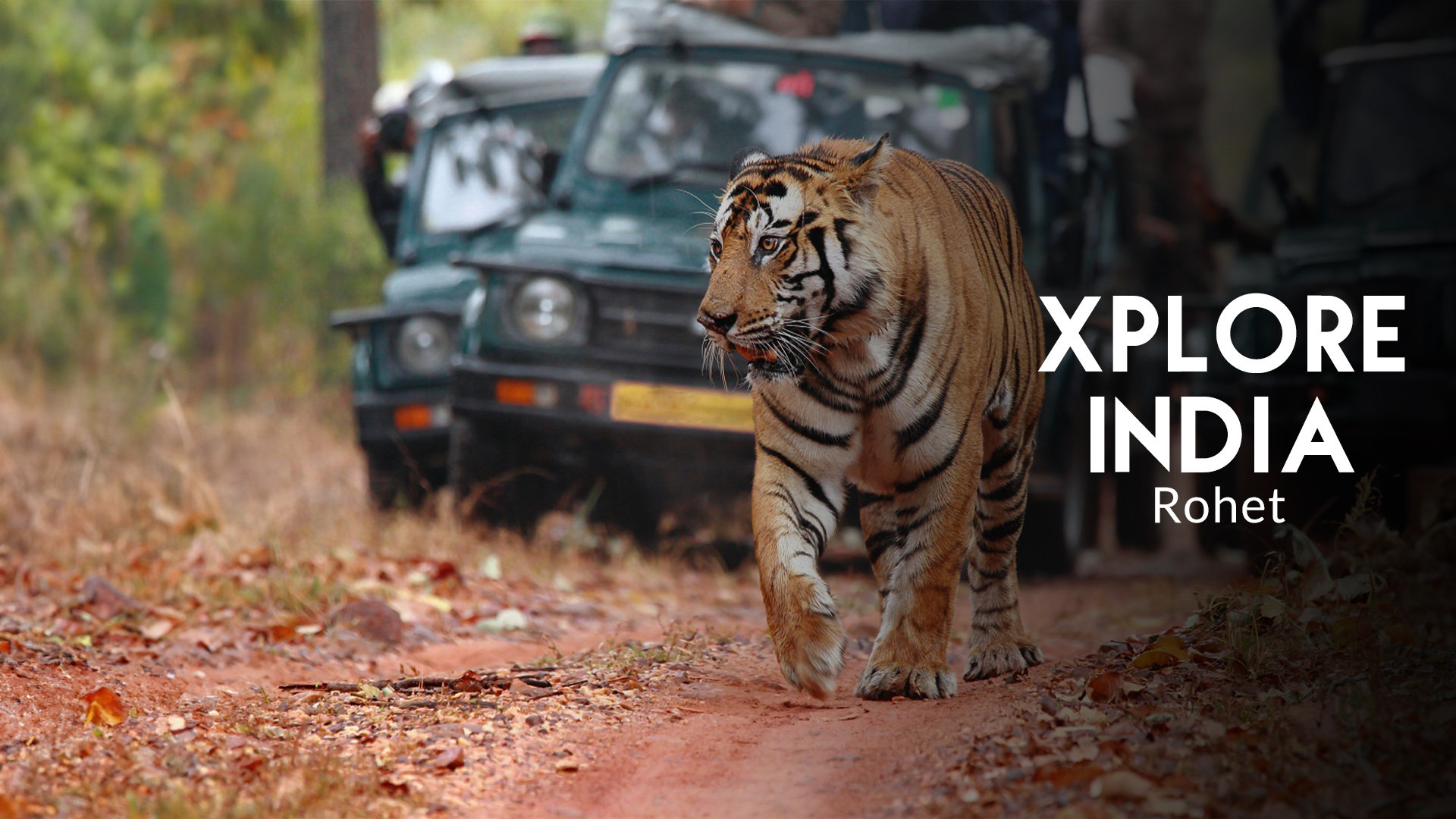 Rohet’s Rustic Charm 