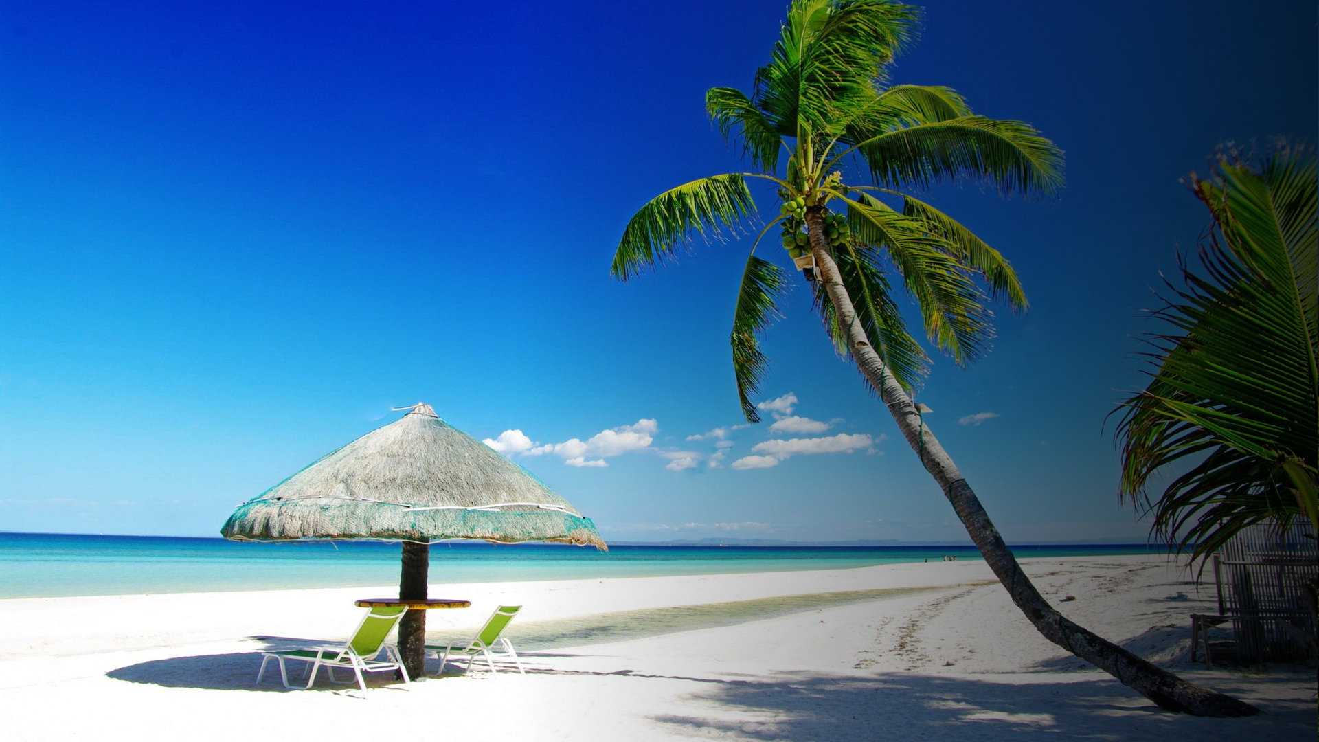 A palm leaning over a white beach with a thatched umbrella