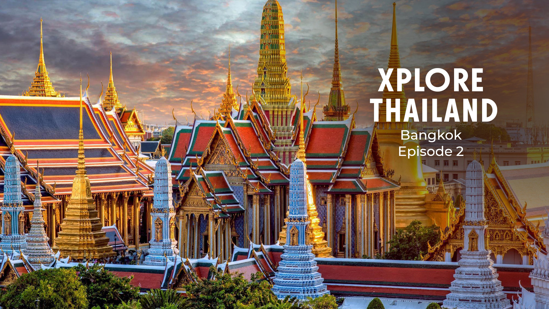 Thailand’s Wild Side 