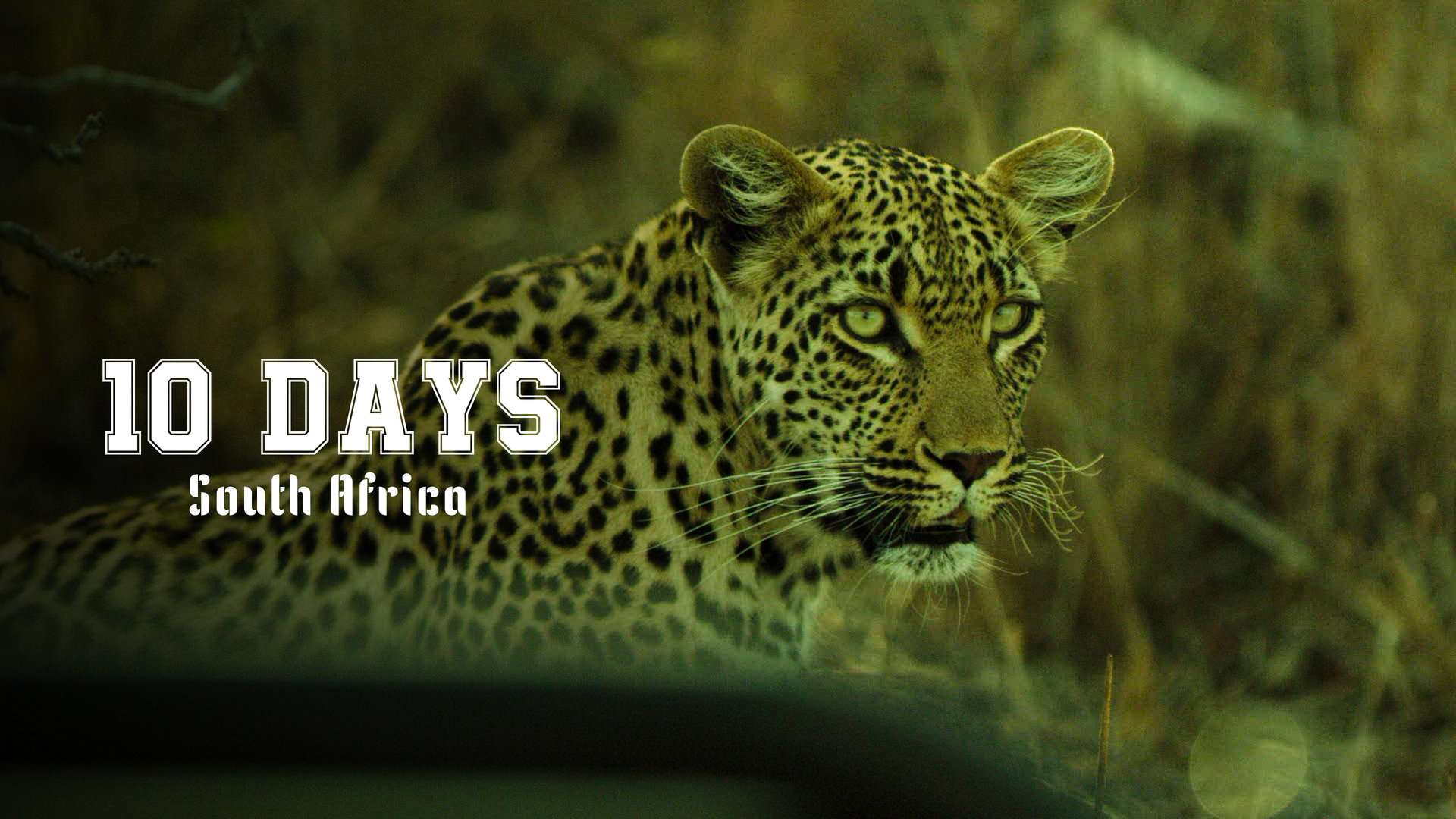 10 Days South Africa