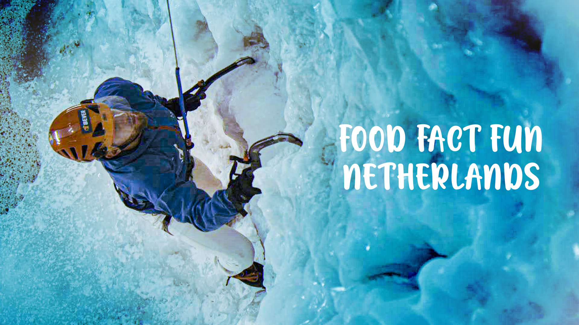 Food Fact Fun Netherlands