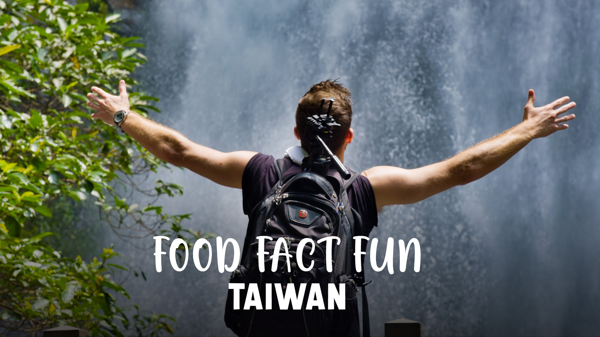 Food Fact Fun Taiwan