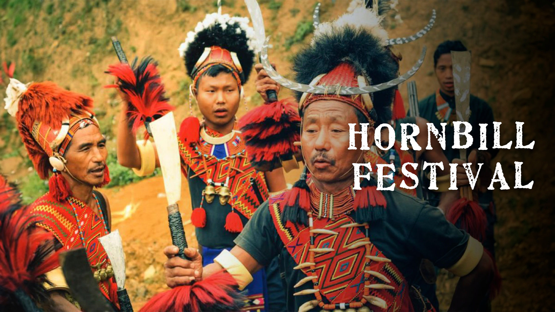 Hornbill Festival