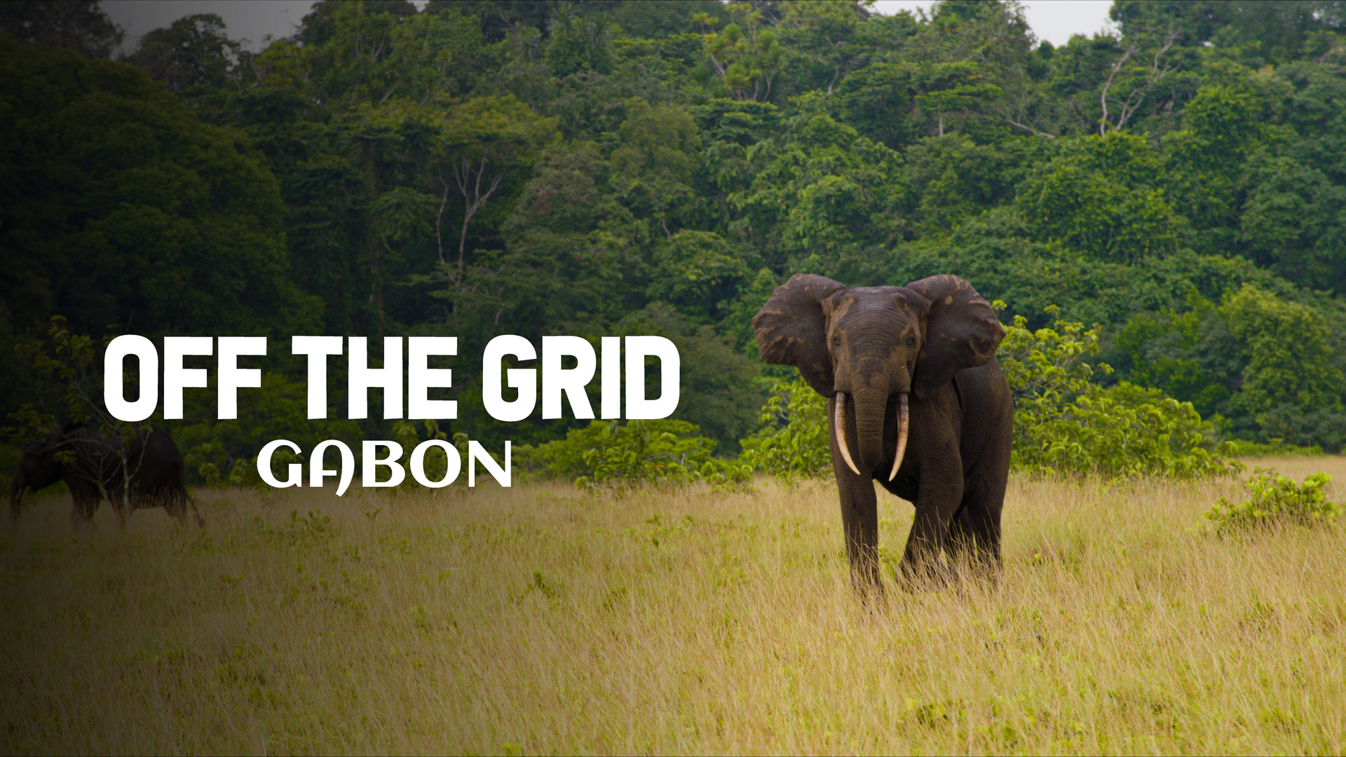 Off The Grid Gabon