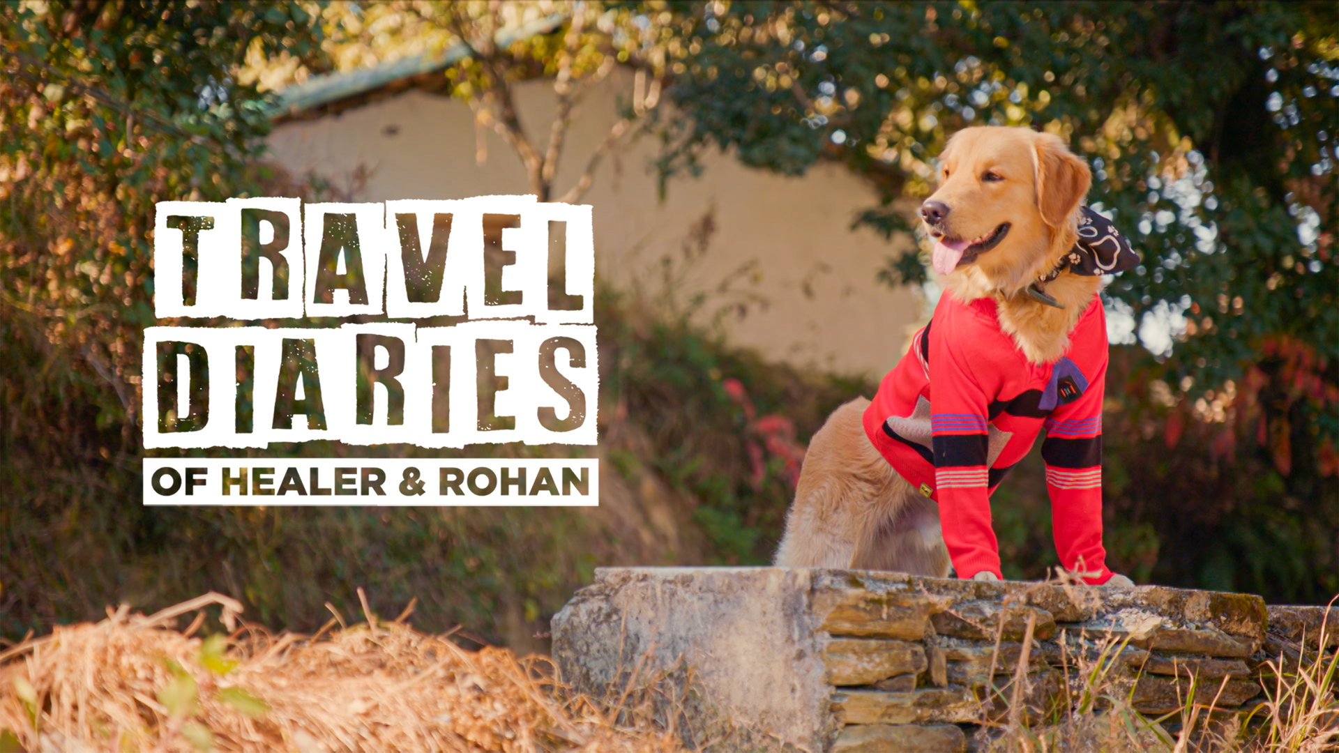 Travel Diaries Of Healer And Rohan